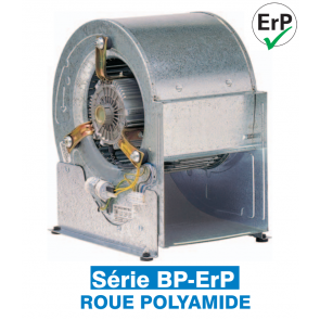 Ventilateur centrifuge basse pression BP-ERP 12/12 6P